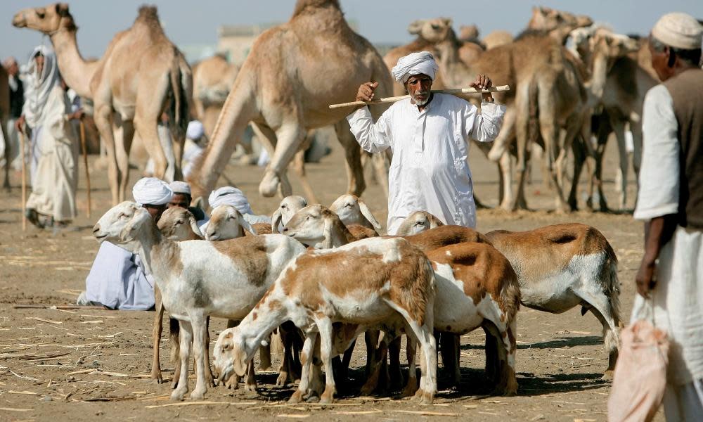 <span>Photograph: AFP/Getty</span>