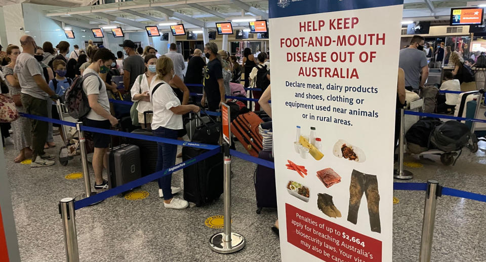 Airport sign food declaration