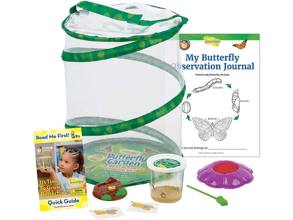 Insect Lore Butterfly Garden: Original Habitat and Live Cup of Caterpillars with STEM Butterfly Journal – Life Science &amp; STEM Education – Butterfly Kit