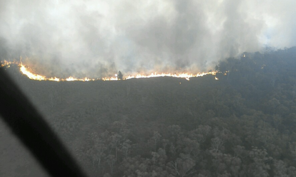 A fire burning in East Gippsland shire region. Source: DELWP Gippsland