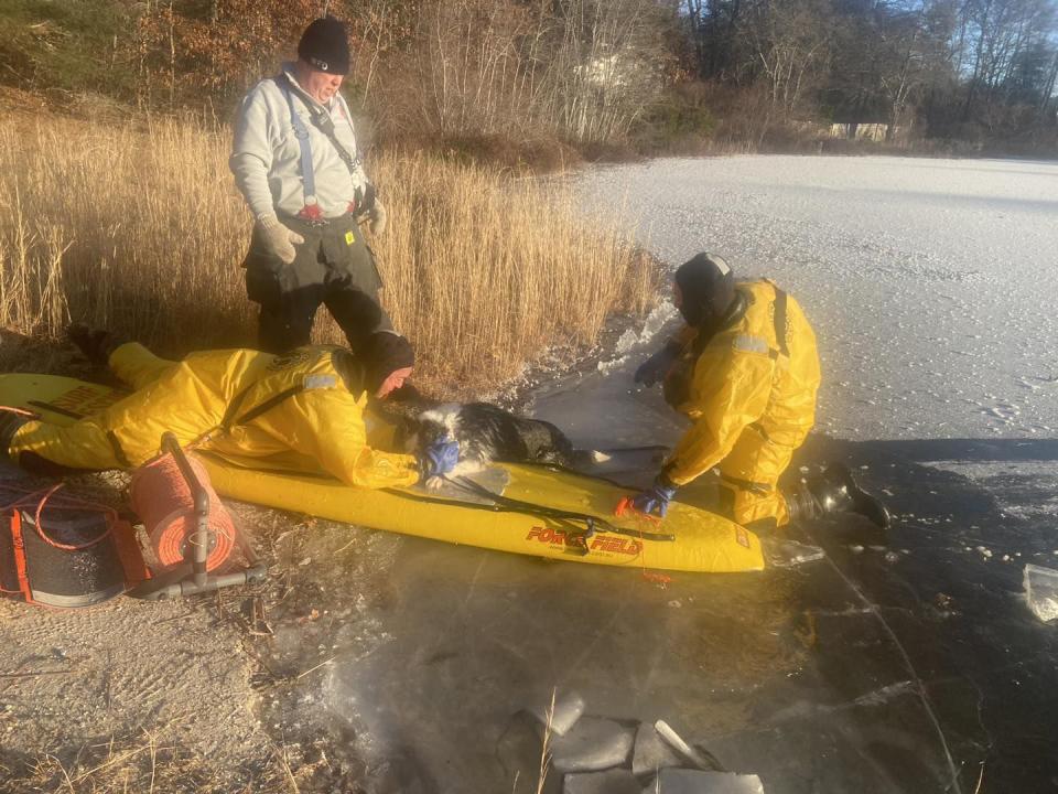 Authorities rescue dog that fell through ice in Wareham