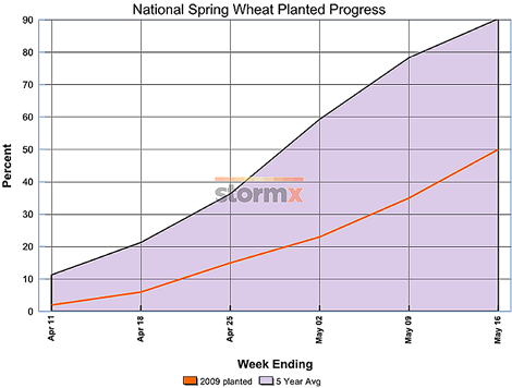 National Spring Wheat Planted Progress