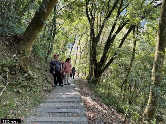 奧萬大林間步道。(圖：林業保育署南投分署提供)