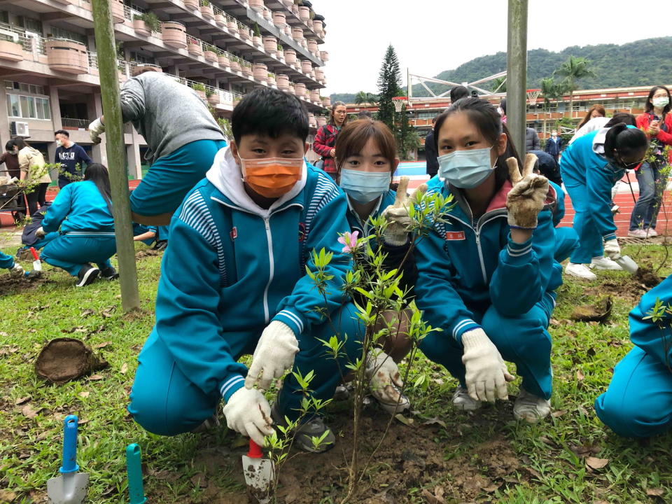 石碇高中學生體驗種植烏來杜鵑實生苗。   圖：新北市農業局提供