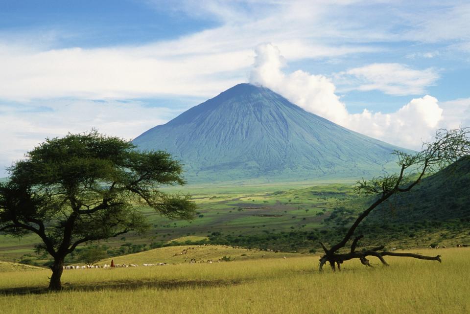 <p>En Tanzanie. Ce pays d’Afrique de l’Est offre des grands parcs naturels, d’immenses espaces chauffés par le soleil, des montagnes vertigineuses, des grands lacs et des îles paradisiaques. Entre un safari pour rencontrer des animaux sauvages, un trek dans le Kilimandjaro et une plongée à Zanzibar, concoctez-vous un séjour de rêve !</p><br>