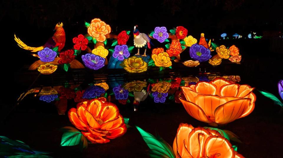 Sedgwick County Zoo’s Asian lantern festival has returned for the third year in a row. This year, it features an “Alice In Wonderland” and also has traditional Asian lantern displays and vignettes.