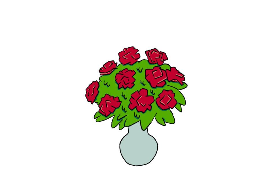 An illustration of a carnation