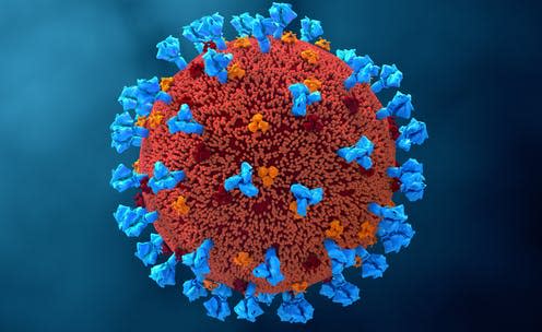 <span class="caption">SARS-CoV-2, the virus that causes COVID-19, with its spike proteins shown in blue.</span> <span class="attribution"><a class="link " href="https://www.shutterstock.com/image-illustration/coronavirus-ncov-respiratory-virus-covid19-sars-1679108539" rel="nofollow noopener" target="_blank" data-ylk="slk:Design_Cells/Shutterstock;elm:context_link;itc:0;sec:content-canvas">Design_Cells/Shutterstock</a></span>