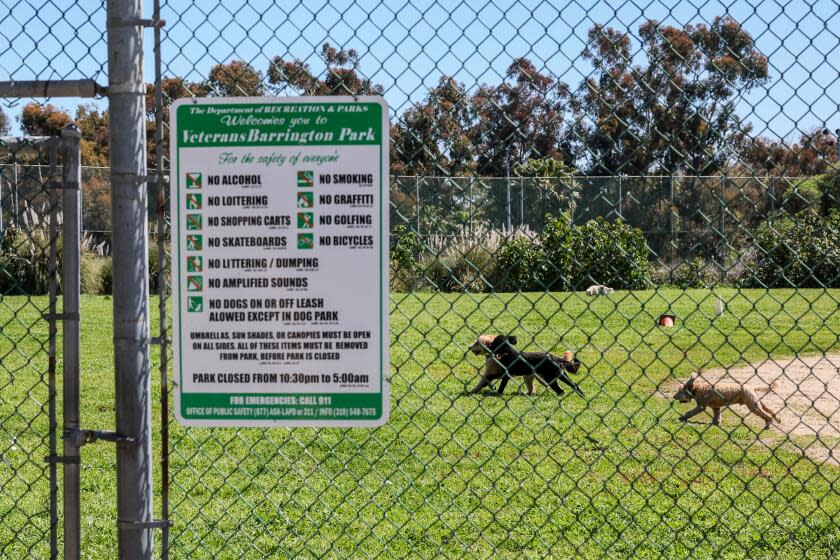 Brentwood, CA, Monday, April 1, 2024 - Dogs are brought to a baseball field located adjacent to a dog park at Veterans Barrington Park. (Robert Gauthier/Los Angeles Times)
