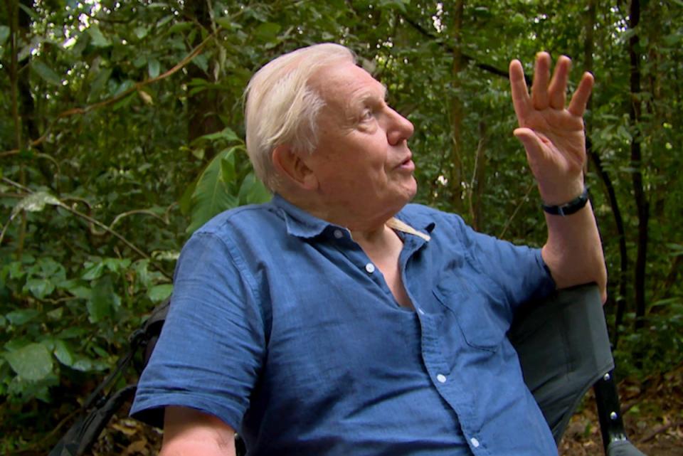 Conquest of the Skies, an immersive virtual reality experience featuring David Attenborough, is coming to London this month (Alchemy Immersive)
