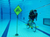 <p>En septiembre de 2011 Furman rompió el récord de más kilómetros bajo el agua montando en bicicleta (casi tres kilómetros).<br>Foto: Wikimedia Commons/Homagni Batista </p>