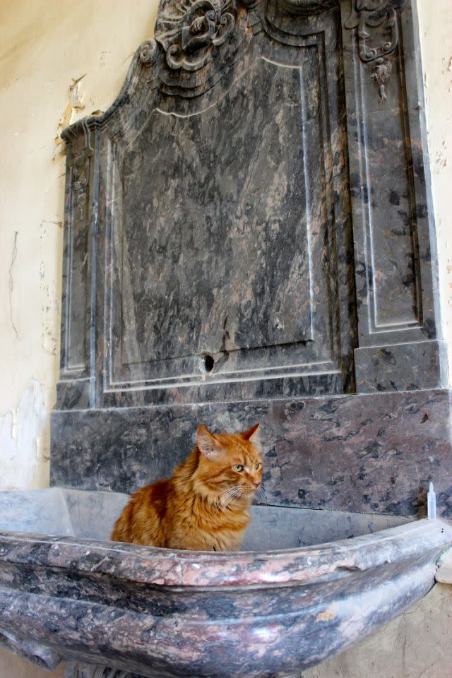 Family Restores Abandoned French Chateau