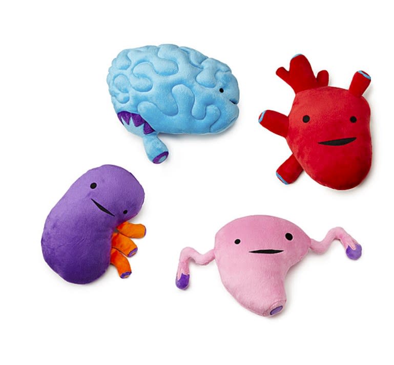 <p><strong>These freaky but also adorable plush organs. <a rel="nofollow noopener" href="http://www.uncommongoods.com/product/plush-organs?aw_aid=23029474017&aw_cid=418990617&country=US&mbid=synd_yahoolife" target="_blank" data-ylk="slk:$18;elm:context_link;itc:0;sec:content-canvas" class="link ">$18</a></strong></p> <p>Including a brain, kidney, heart, and uterus!</p>