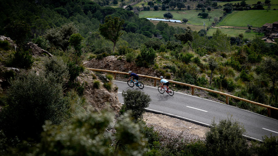 Cyclists on a road in Mallorca