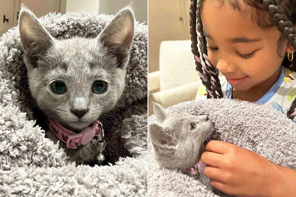 <p>Khloe Kardashian/Instagram</p> Baby Kitty the cat (left) and True Thompson holding Baby Kitty 