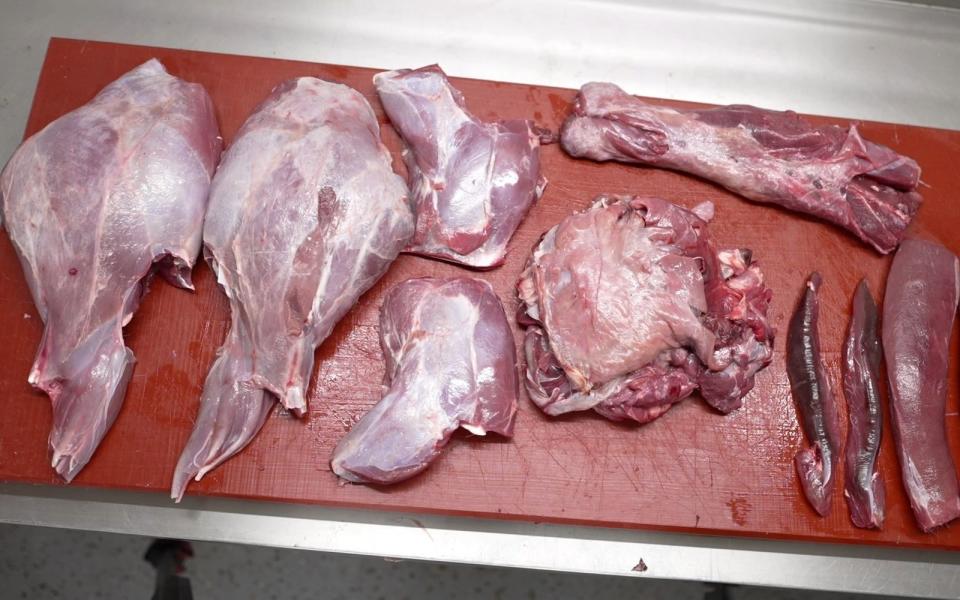 Die Fleischproduktion in Deutschland sinkt - doch die Industrie schadet dem Planeten noch immer. (Bild: ZDF/Florian Kössl)