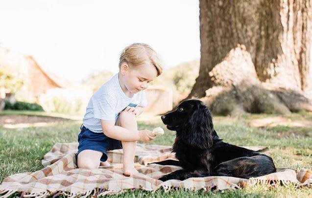 The Duke and Duchess of Sussex have a new pup.