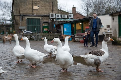 You'd be quackers to miss it - Credit: GETTY