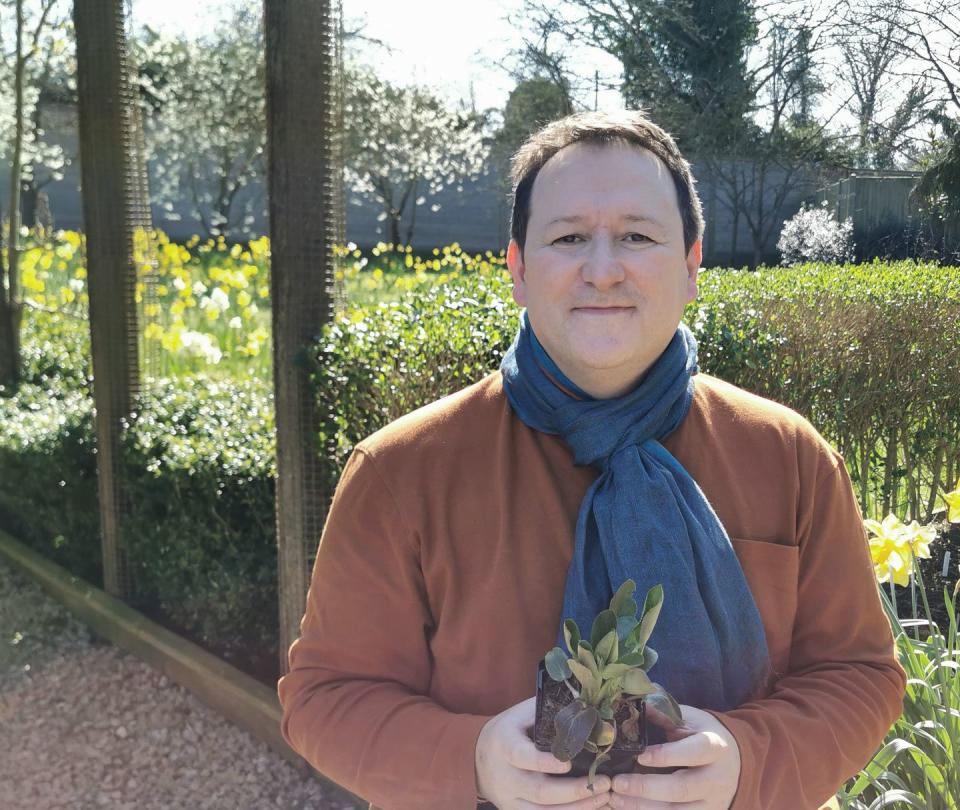 mark lane in the garden