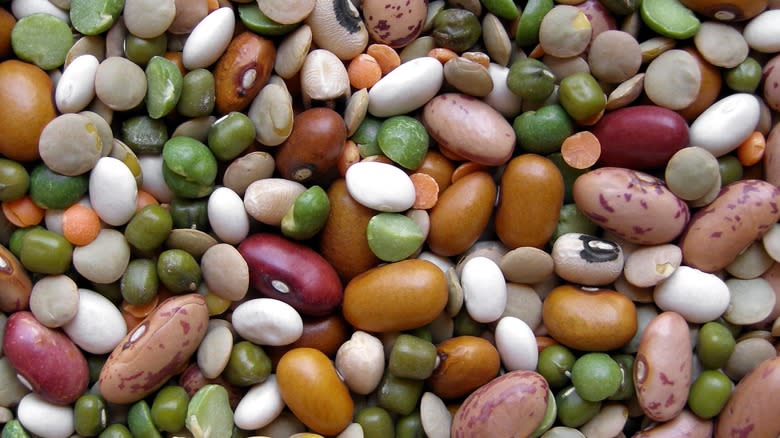 Pile of multiple types of beans 