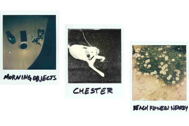 <p>Polaroid Photos by Ethan Peck</p>