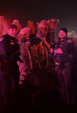 <p>Grant County Sheriff's Office</p> Police pose with animals following trailer fire rescue