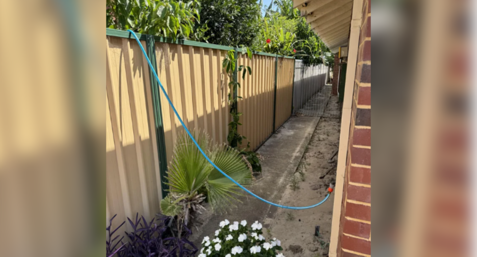 Image of the neighbours hose going over their fence and attached to the tap on the side of the parents' house.