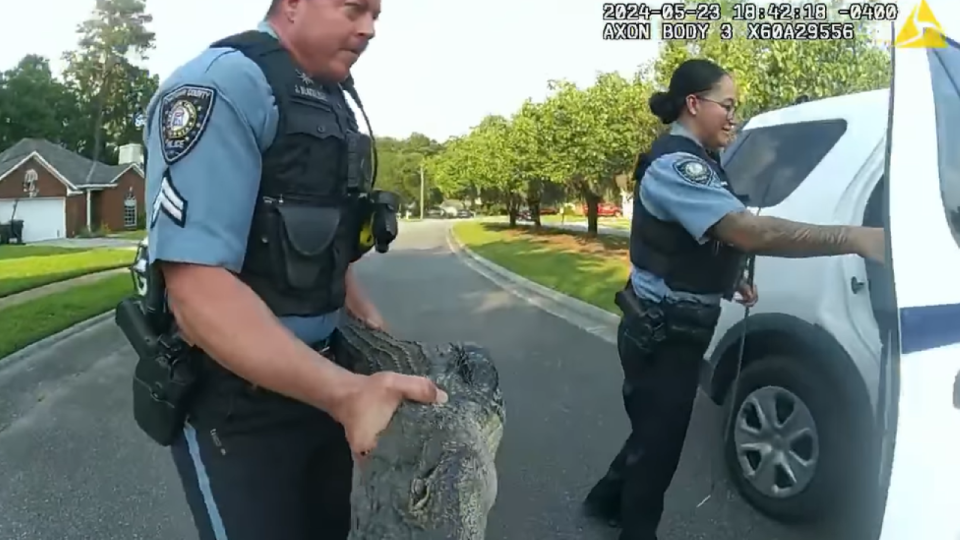 Officers holding gator