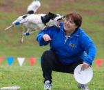 <p>Sieht gefährlich aus, ist es aber nicht. Bello tut nix, der ist voll auf seine Flugkünste konzentriert. Wenn der Frisbee fliegt, dann gibt er alles! (Bild: thisisphotobomb.com) </p>