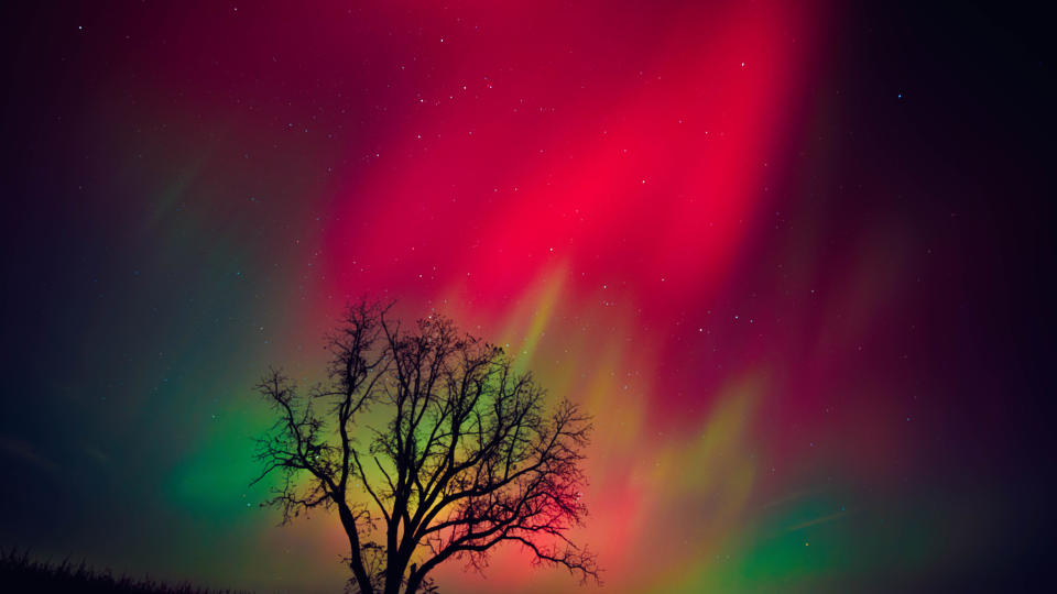 The night sky in Wisconsin glows with the Northern Lights as a geomagnetic storm brings vibrant pink and green colors to a majority of the northern states. / Credit: Ross Harried/NurPhoto via Getty Images