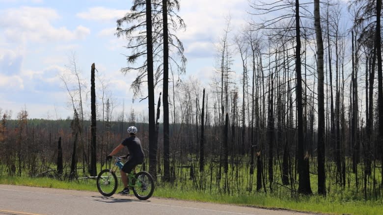 Fort McMurray fire chief Darby Allen addresses 'coward' accusation