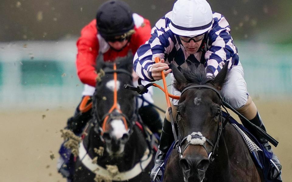 Darragh Keenan rides Rohaan to victory at Lingfield in December  - GETTY IMAGES 