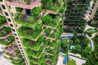 <p>Des bâtiments résidentiels "végétalisés" du sud-ouest de la Chine, avec plantes luxuriantes sur les balcons des appartements, se retrouvent envahis par leur propre végétation au point d'être fuis par leurs résidents, à Chengdu, en Chine. </p>