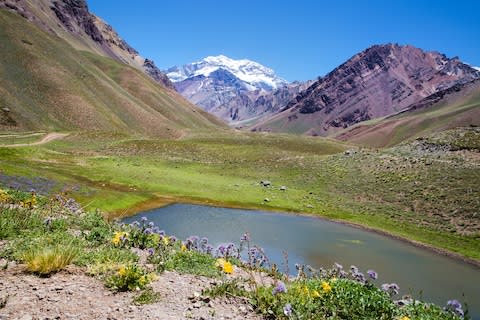 Aconcagua, the highest point of the Andes - Credit: Getty