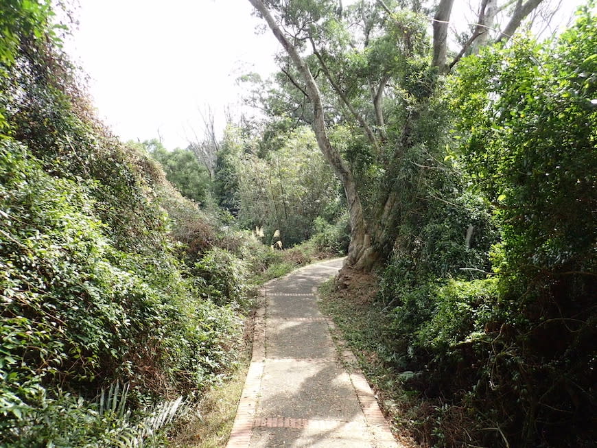 新竹十二寮登山步道