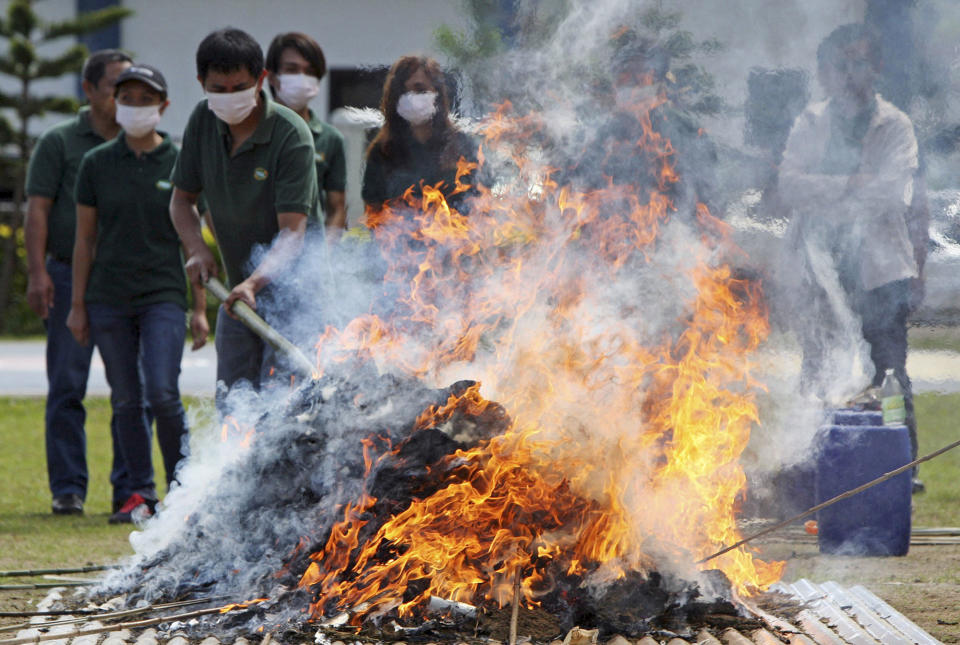 <p>Members of the Philippine Drug Enforcement Agency (PDEA) and the Philippine National Police (PNP) burn some 6.9 million pesos ($147,059) worth of marijuana and shabu (also known as methamphetamine) in Camp Bado Dangwa, La Trinidad, Benguet, north of Manila November 6, 2015. The illegal drugs were pieces of evidence of cases that have been resolved by the court, in Benguet province, local media reported. (REUTERS/Harley Palangchao) </p>