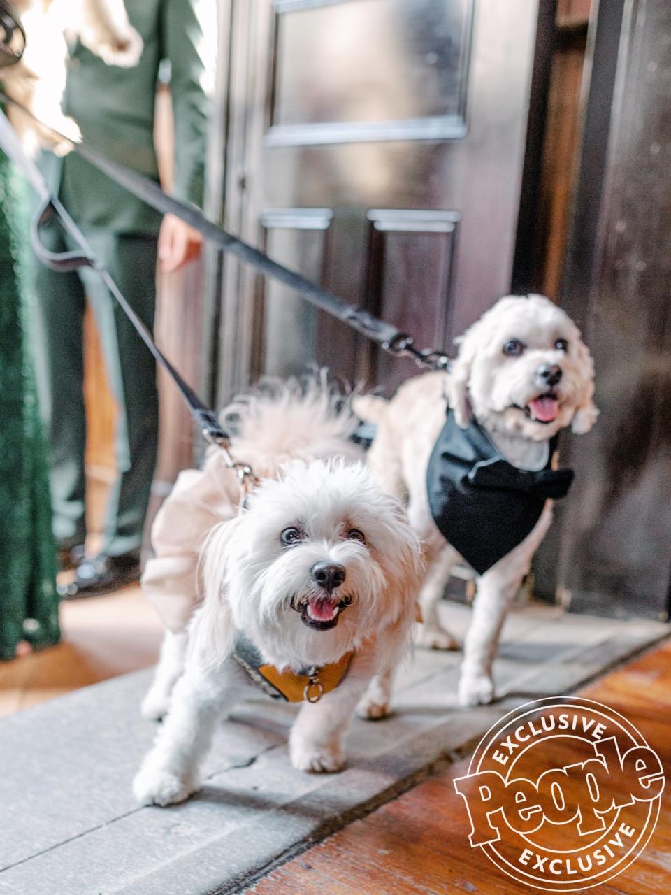 Haibon's pup Clark served as ring bearer. "We realized we don't really know any little boys," says Iaconetti, whose dog Lois wore a dress for the nuptials. "So we decided to have Jared's dog come out with the rings attached to his tuxedo bandana!"