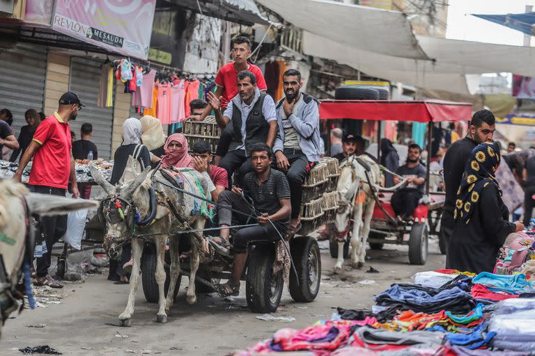 Palestinos usan caballos y burros por la falta de combustible