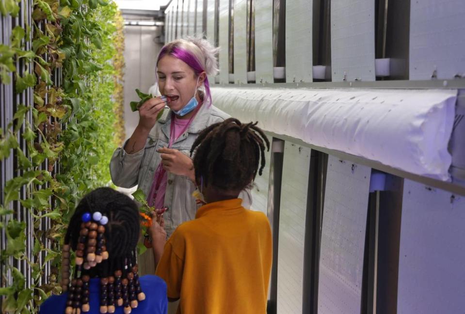 Jackie Roth, al centro, directora de innovaciones y desarrollo de programas en Lotus Village, prueba un nabo cultivado dentro de la granja hidropónica con dos jóvenes jardineros.