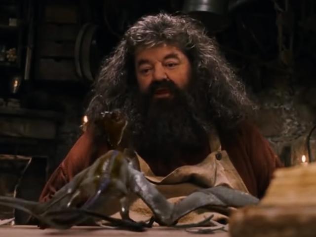 Robbie Coltrane death: Harry Potter and James Bond star dies aged 72