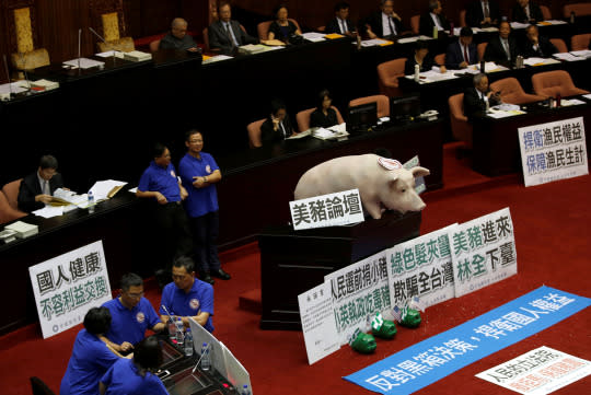 <p>A dummy of a pig is placed by Kuomintang’s legislators as they occupy the podium of the legislative chamber to block Premier Lin Chuan from delivering his first policy report, and oppose the imports of U.S. pork containing traces of the leanness-enhancing agent ractopamine at the Legislative Yuan in Taipei, Taiwan, May 31, 2016. (Reuters/Tyrone Siu) </p>