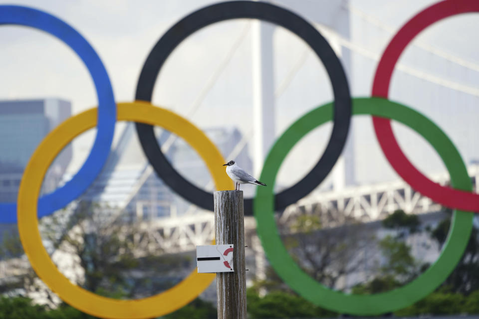 A bird rests with a backdrop of the Olympic rings floating in the water in the Odaiba section Thursday, April 8, 2021, in Tokyo. Two top officials of Japan's ruling LDP party on Thursday, April 15, 2021, said radical changes could be coming to the Tokyo Olympics. One went as far to suggest they still could be canceled, and the other that even if they proceed, it might be without any fans. (AP Photo/Eugene Hoshiko)