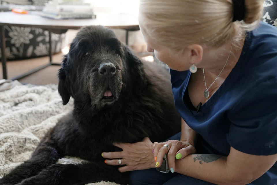 Dr. Lisa Walling greets her 13-year-old hospice patient, Rugby, a Newfoundland, in the dog's home in Bedford, N.Y., on Tuesday, May 7, 2024. As an end-of-life care veterinarian, Walling considers both pet and owner to be her patients. She’s there to make sure animals are as comfortable as possible in their final days, and help humans through the difficult decision of knowing when it’s time to say good-bye. At a later visit, after Rugby had deteriorated further, she euthanized her surrounded by her family. (AP Photo/Mary Conlon)