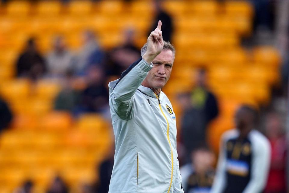Wolves caretaker manager Steve Davis faces Leicester on Sunday (Nick Potts/PA) (PA Wire)