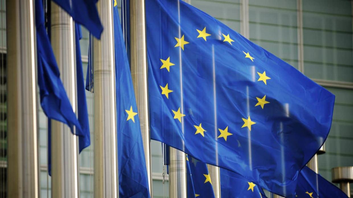EU flags. Photo: Getty Images