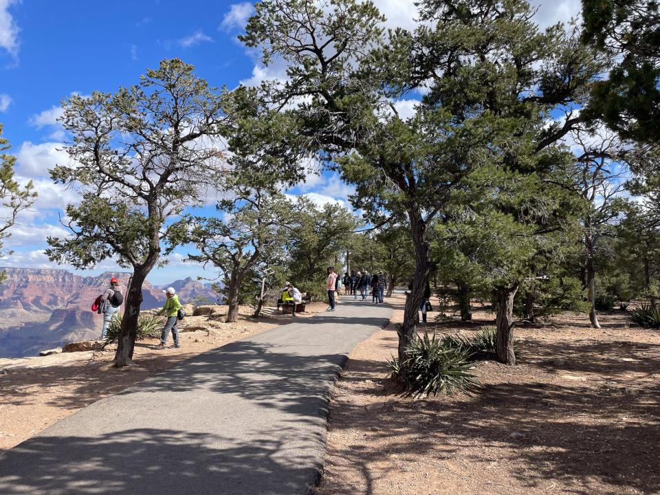 A view of the Grand Canyon's Rim Trail.