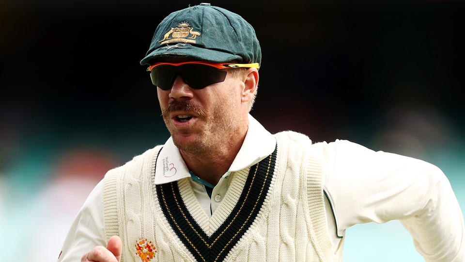 David Warner was selected by the Southern Braves with the third pick of the draft for The Hundred. (Photo by Cameron Spencer/Getty Images)