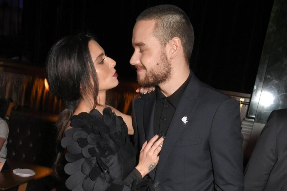 Loved up: Cheryl and Liam Payne are a couple (Dave Benett)