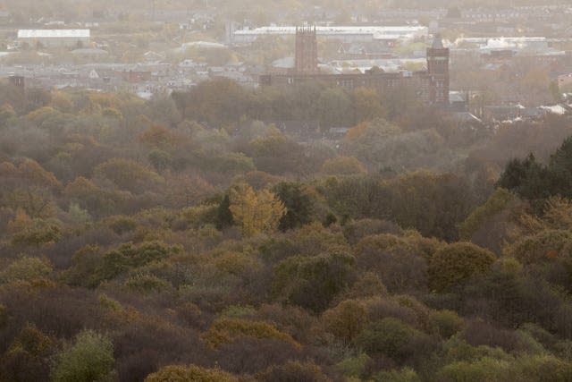 The sunset over tree tops