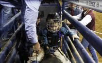 CeJay Jones, 6, settles in on mini bull Hopper before riding in the competition at the 108th National Western Stock Show in Denver January 11, 2014. The show, which features more than 15,000 head of livestock, opened on Saturday and runs through January 26. REUTERS/Rick Wilking (UNITED STATES - Tags: ANIMALS SOCIETY)